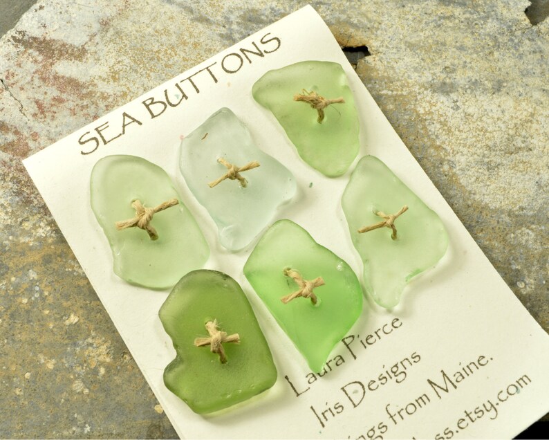 Six shades of pale green....a set of six double drilled sea foam green sea glass buttons from Maine