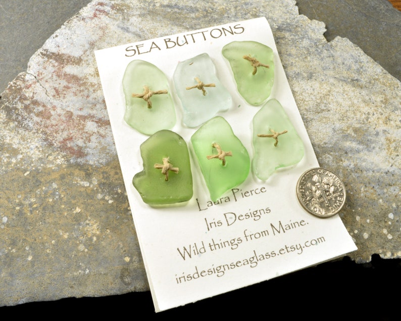 Six shades of pale green....a set of six double drilled sea foam green sea glass buttons from Maine