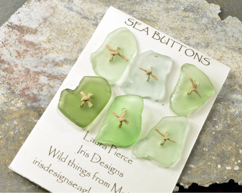 Six shades of pale green....a set of six double drilled sea foam green sea glass buttons from Maine