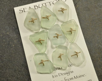 So beautiful    a set of nine sea foam  green natural Maine sea glass buttons quirky ocean statement buttons for knits and jewelry craft