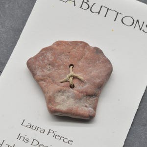May include: A reddish-brown, shell-shaped button with a textured, stone-like surface, featuring two central holes threaded with a thin, light-colored string. The button is attached to a white display card with the text "SEA BUTTONS" and "Laura Pierce".