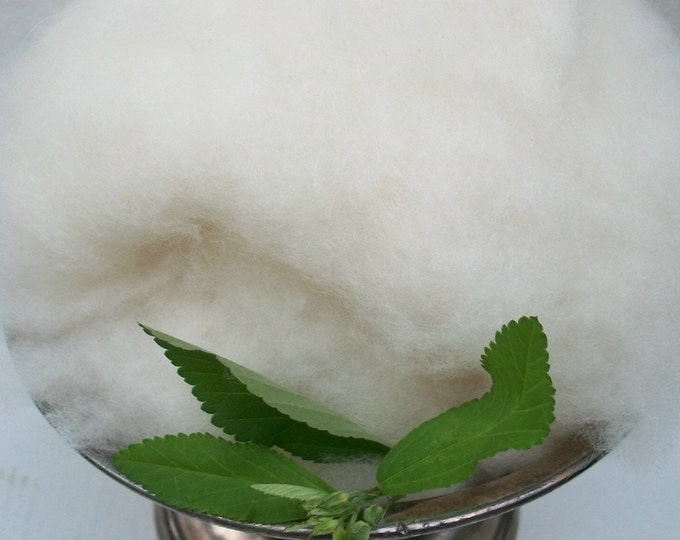 Pure White 100 Cashmere Fiber. Fiber Top Quality. Etsy