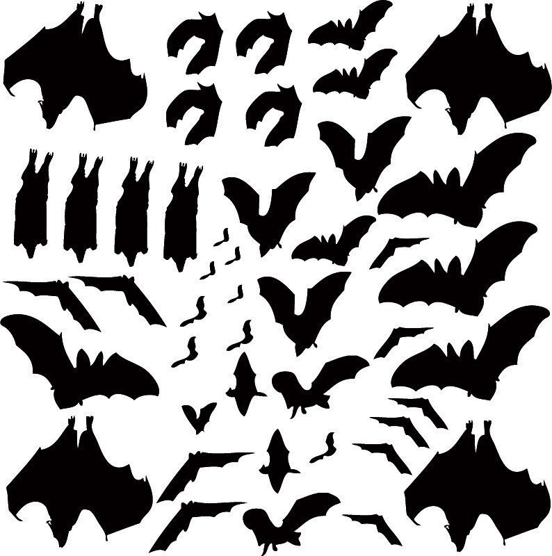 The Bat's Tree Vinyl Wall Art-Choose any color image 3