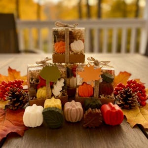 Pumpkin & Autumn Shape Wax Melts – 10 Scented Pieces