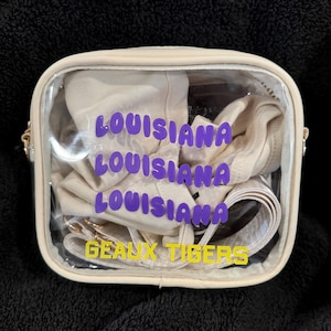 custom bag, customer college game day bag, college football, football bag, clear bag, clear stadium bag, stadium bag, college game bag