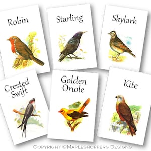 Bird Table Cards FLAT Style Set of 22, 4"x6" -PDF Format, Bird Table Numbers, Instant Download, Bird Theme, Wedding Table Cards