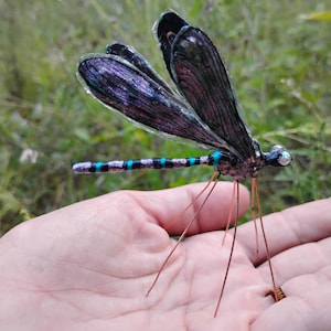 Iridescent black damselfly/ dragonfly ornament with glass eyes . indoors or outdoor,handmade in USA