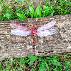 May include: A decorative dragonfly with red and pink wings and a red body with black markings. The dragonfly is resting on a brown log, surrounded by green grass and foliage. The wings have a delicate, translucent appearance.