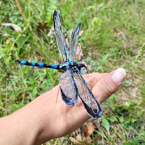 ガラスの目が付いた虹彩色の黒いイトトンボ/トンボのオーナメント