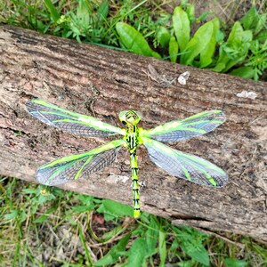 Libellule jaune vif et noire, ornement peint à la main avec des yeux en verre. Fait main aux Etats-Unis