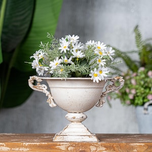 May include: White ceramic planter with two handles and a pedestal base, filled with a bouquet of white daisies.