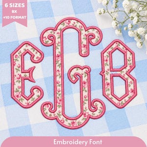 May include: An embroidery font featuring the letters E, G, and B in a large monogram style. The letters have a pink floral pattern fill and a solid pink stitched border. A pink banner in the top left corner reads 6 SIZES BX +10 FORMAT.