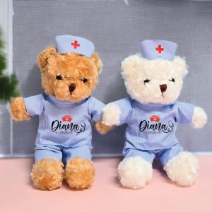 Custom 2025 Nurse Graduate Teddy Bear, Nurse Doctor Graduation Bear Plush Gift, Graduation Nurse Bear, 2025 Grad Gifts, Gift for Nurse