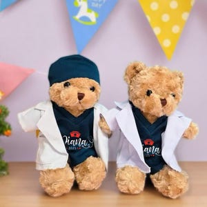 Personalized 2025 Nurse Graduate Teddy Bear Gift, Embroidered Teddy Bear, Teddy Bear With Custom Name, Nurse Doctor Graduation, Plush Gifts