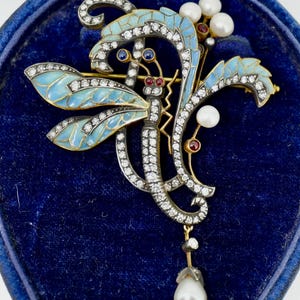 May include: A detailed antique dragonfly brooch with light blue enamel wings, accented with diamonds and pearls. The dragonfly has red and blue gemstone eyes and a dangling pearl. The brooch is set against a blue velvet background.