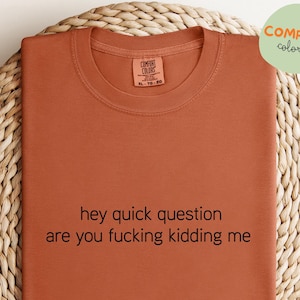 Comfort Colors Hey Quick Question Are You Kidding Me Shirt, Funny Humor Shirt, Funny Girls Shirt, Sarcasm Shirt, Trendy Shirt for Women