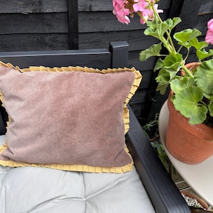 Cushion