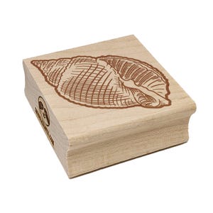 Könnte beinhalten: Ein Holzstempel mit einer braunen Muschelabbildung. Das Muscheldesign ist detailliert und vor der natürlichen Holzmaserung abgebildet. Der Stempel hat den Text "charlescuster.com" an der Seite.