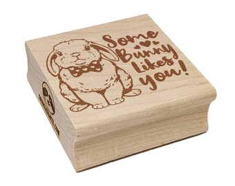 Some Bunny Likes You Valentine's Day Rabbit Love Square Rubber Stamp for Stamping Crafting