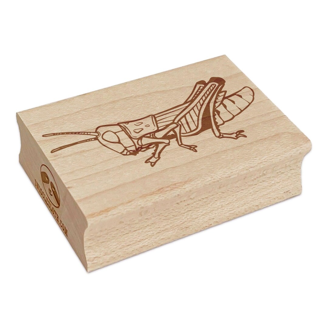 Realistic Grasshopper Locust Bug Insect Rectangle Rubber Stamp for ...