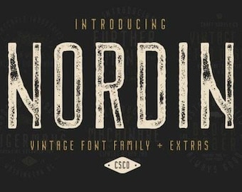 Nordin Family Font, Elegant font, Calligraphy font, Modern Font, Commercial Use, Canva font, Display font, Fancy font, Script font, Font