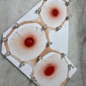 May include: A white, irregularly shaped object with three circular, reddish-brown designs. Each design has a dark red center and is outlined with a light brown substance. Clear push pins are placed around the perimeter.