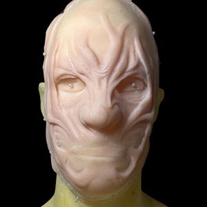 May include: A pale pink, sculpted mask with a detailed, textured surface. The mask features prominent facial features, including eyes, a nose, and a mouth, with pins inserted around the edges. The mask is set against a black background.