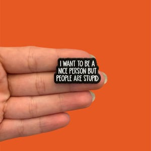May include: A black rectangular pin with the text "I WANT TO BE A NICE PERSON BUT PEOPLE ARE STUPID" in white lettering. The pin is held against an orange background.