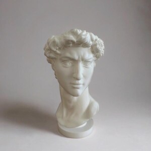 May include: White plaster bust of a man with a laurel wreath on his head. The bust is on a white pedestal.