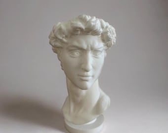 Michelangelo David sculpture flower pot