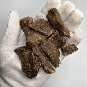 Vietnam Agarwood Natural Char Oud - &quot;Chan Khoan&quot; Super VIP Agarwood Pieces - sweet, light, and multi-dimensional aroma – Free Shipping