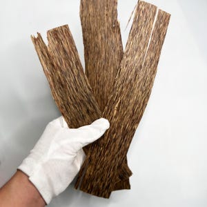 50g Vietnamese Agarwood Chunks | Grade AAA+ Flat Oud | Woody & Sweet Aroma | 0.5mm Thickness