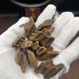 100g Vietnamese Natural Agarwood Oud Enhanced with Cold Extract Resin – Sweet & Long-lasting, Oudgo Tiger Oud