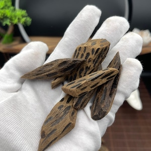100g Premium Tiger Oud Enhanced Maroke Infused with Vietnamese Agarwood Oud - Deep Aroma, Elegant Design, Lasting Burn, Oudgo Tiger Oud