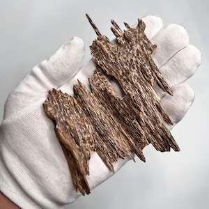 Natural Wild Oud Chips (AA-AAA Grade) | Authentic Vietnamese Agarwood - Free shipping