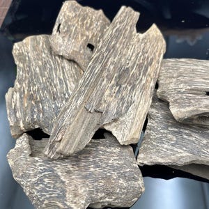 Cultural Agarwood Vietnam Grade B - Trial Pack | Cultured Agarwood with sweet aroma - Free shipping - 100g