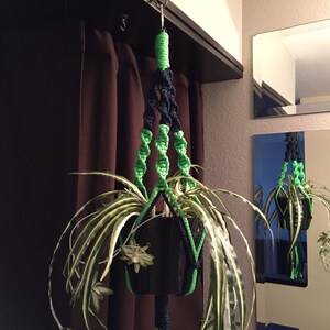May include: A green and black macrame plant hanger with a spider plant hanging in it.