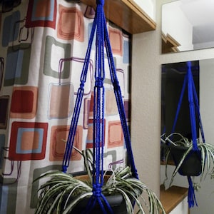 May include: A blue macrame plant hanger with a green and white plant in a black pot. The hanger is hanging from a hook on a wall with a patterned curtain.
