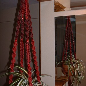 May include: A red macrame plant hanger with wooden beads hangs from a wooden shelf. A green plant with long, striped leaves is in a brown pot.