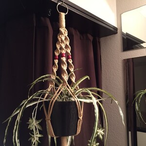 May include: A macrame plant hanger with red beads, holding a potted plant with long, green leaves. The hanger is hanging from a hook on a dark brown wall.