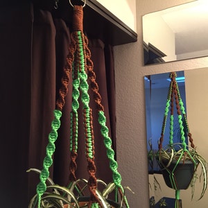 May include: A green and brown macrame plant hanger with a plant in a black pot. The hanger is hanging from a hook on a wall.