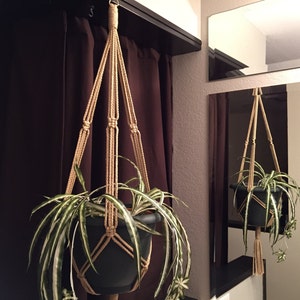 May include: A macrame plant hanger with a green and white plant in a black pot hanging from a hook on a brown wall.