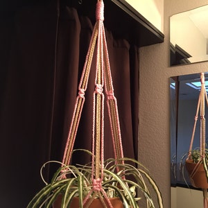 May include: A handmade macrame plant hanger in pink and tan, holding a potted spider plant. The plant hanger is suspended from a dark brown shelf. The spider plant has long, green and white striped leaves.