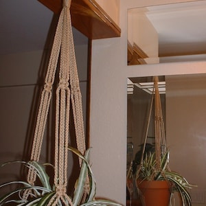 May include: A hanging plant holder made of natural rope with a green plant in a brown pot. The plant holder is hanging from a hook on a wooden beam.
