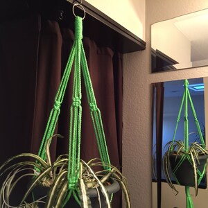 May include: A green macrame plant hanger with a white and green plant hanging from it.