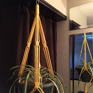 May include: A yellow macrame plant hanger with a green plant in a black pot hanging from a hook.