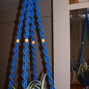 May include: A blue macrame plant hanger with wooden beads. The hanger is holding a potted plant with green and white striped leaves.