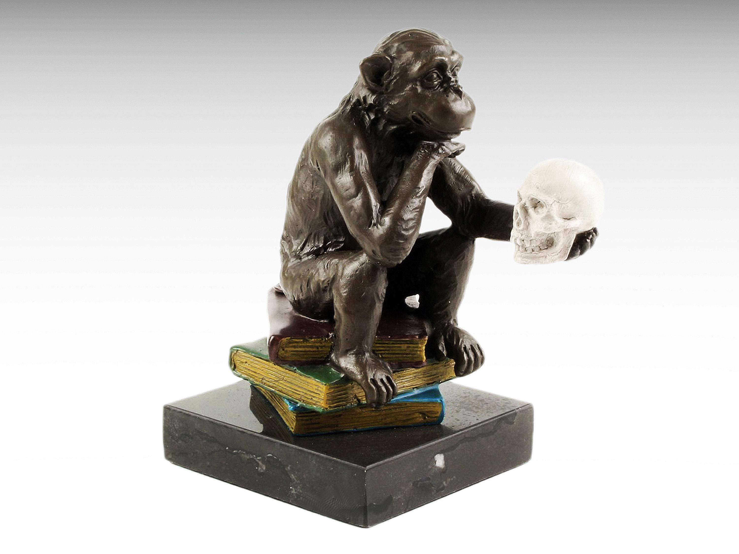 Darwin monkey skull - Etsy 日本