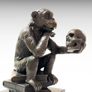 Darwin monkey skull - Etsy 日本