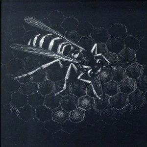 May include: A black and white drawing of a wasp on a honeycomb. The wasp is drawn in detail, with its wings, legs, and antennae clearly visible. The honeycomb is also drawn in detail, with the individual cells clearly visible.